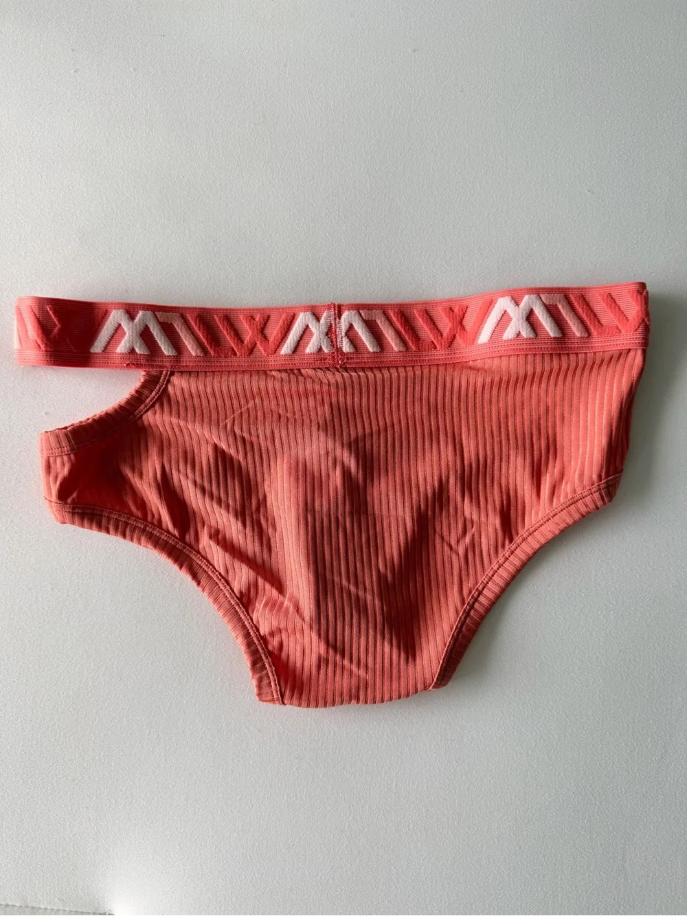LVW Coral Ribbed Briefs